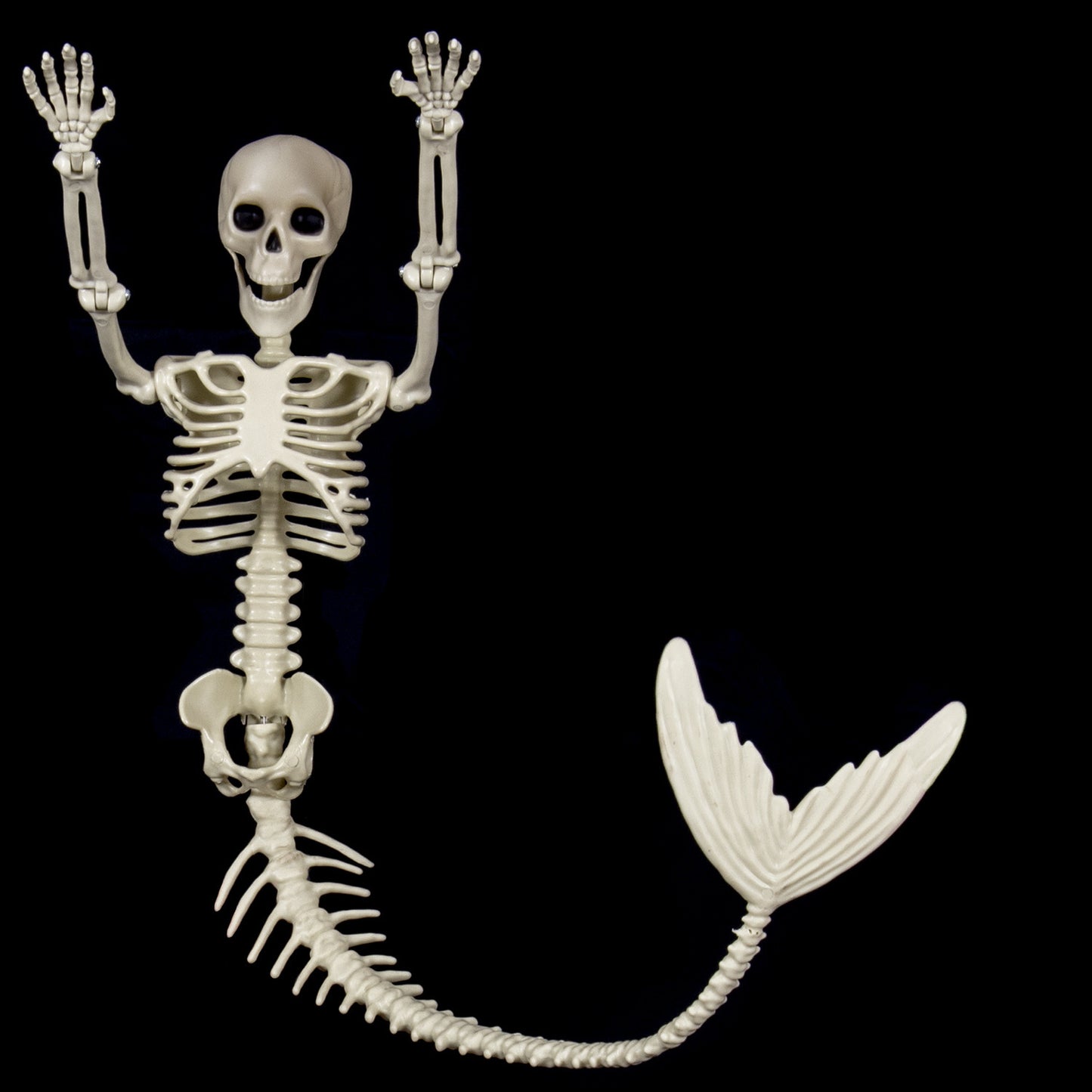 Halloween Skull Fish Skeleton Hanger 80cm - Realistic Spooky Decoration