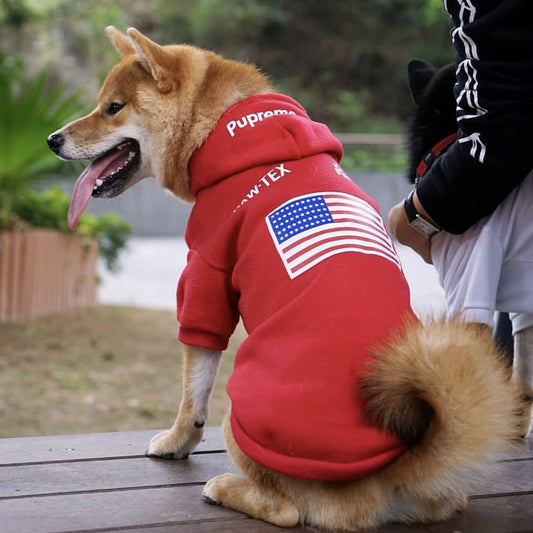 Warm autumn and winter dog clothes