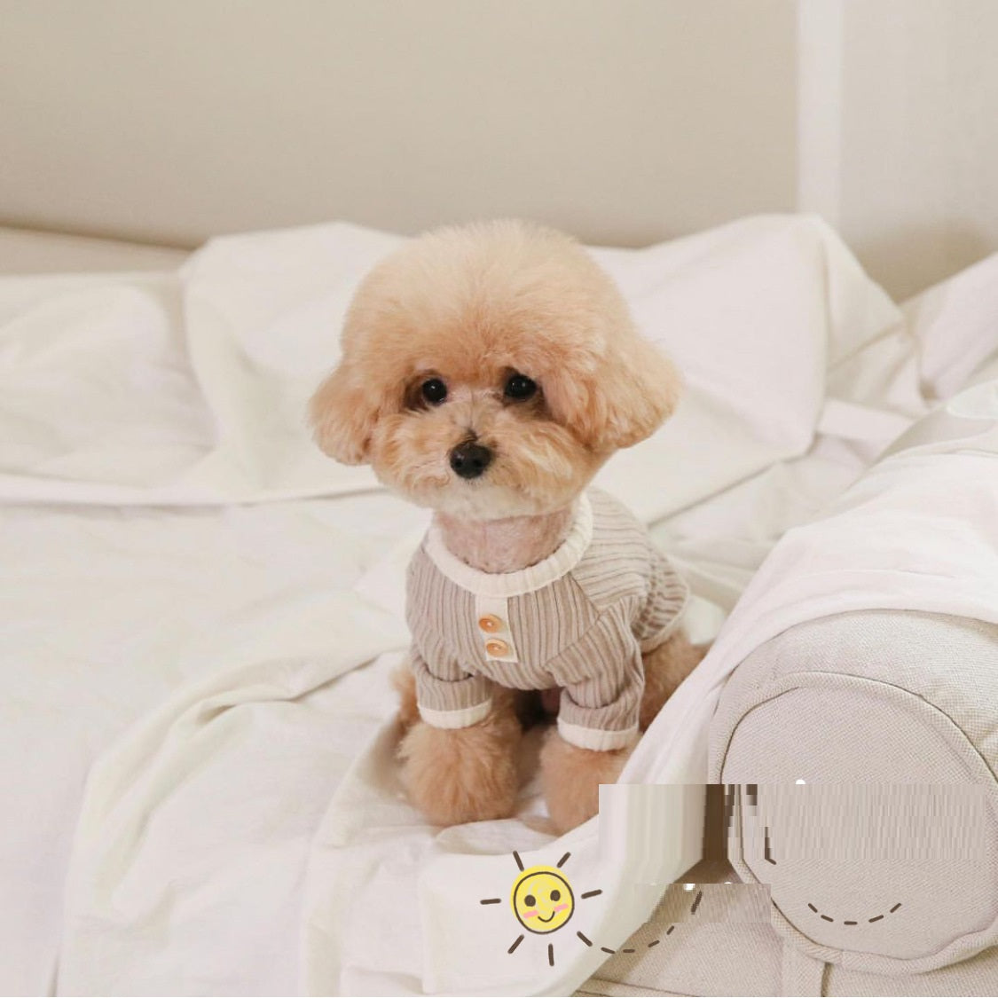 Pet Casual Color Contrast Cat Dog Clothing