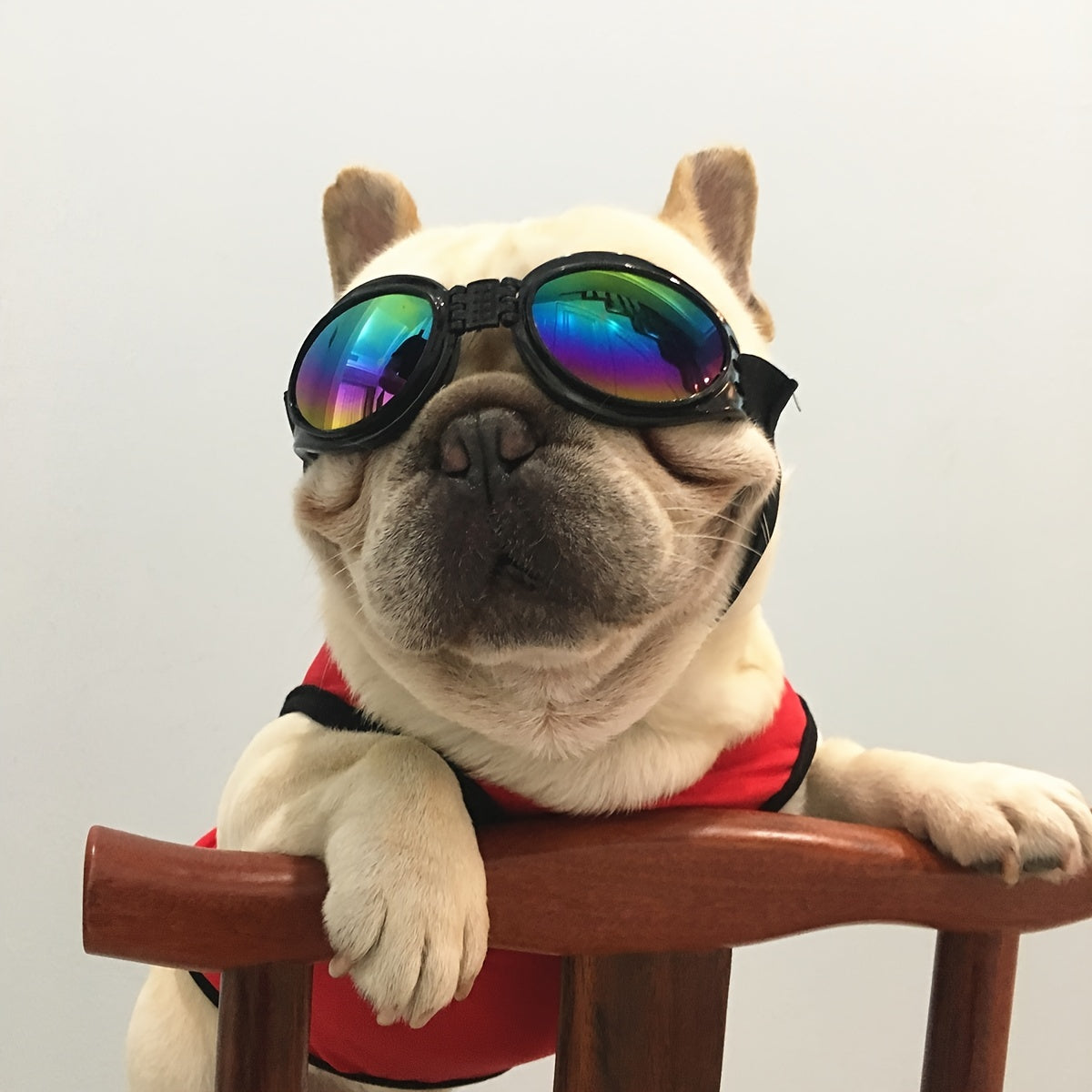 UV Protection Dog Sunglasses with Adjustable Head Strap - Keep Your Pet's Eyes Safe and Stylish