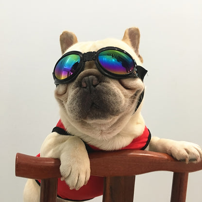 UV Protection Dog Sunglasses with Adjustable Head Strap - Keep Your Pet's Eyes Safe and Stylish