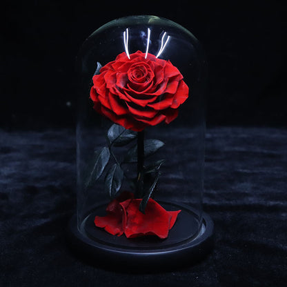 Glass Cover Tanabata Valentine's Day Immortal Rose Gift