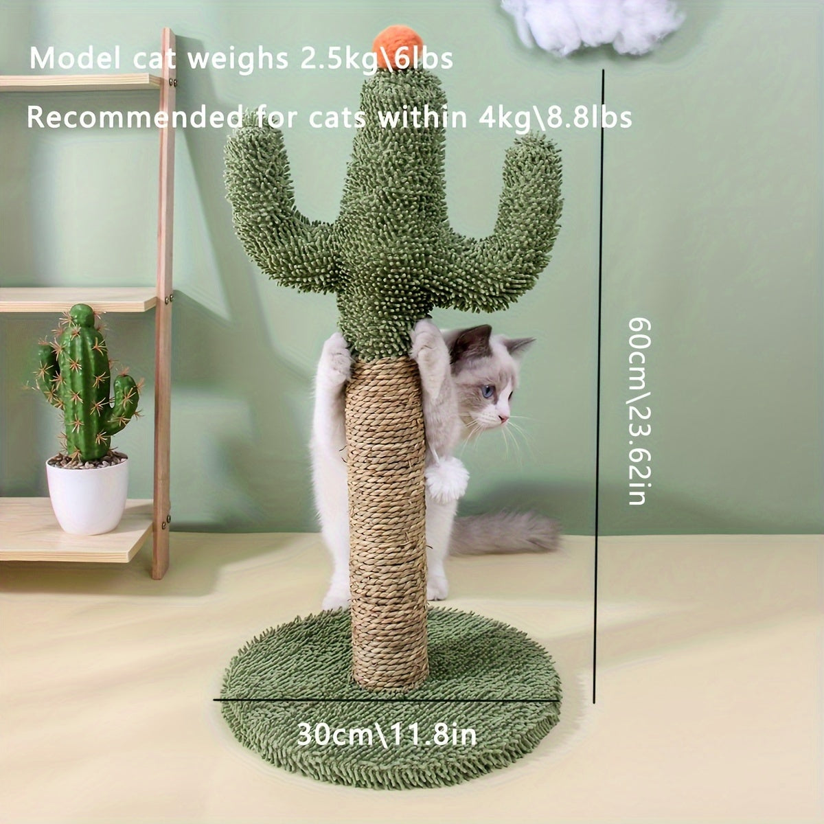 Interactive Cactus Cat Scratcher Toy - Durable Scratching Surface for Indoor Cats - Fun Pet Supplies for Play and Exercise