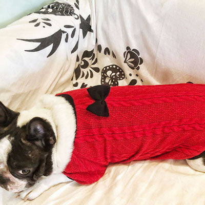 Small and Medium-Sized Dogs In Bow Knitted Sweater