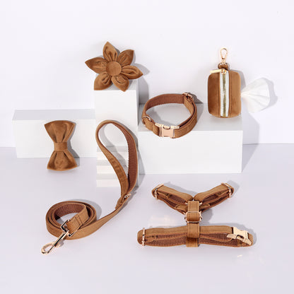 Pet Dog Lettering Collar Walking Velvet Hand Holding Rope
