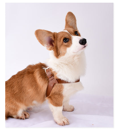 Pet Cat And Dog Chest Strap To Prevent Breakaway Out Of The Leash