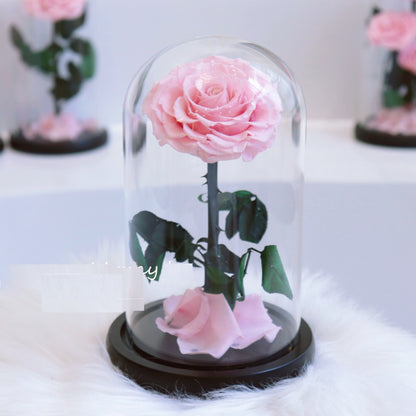 Glass Cover Tanabata Valentine's Day Immortal Rose Gift