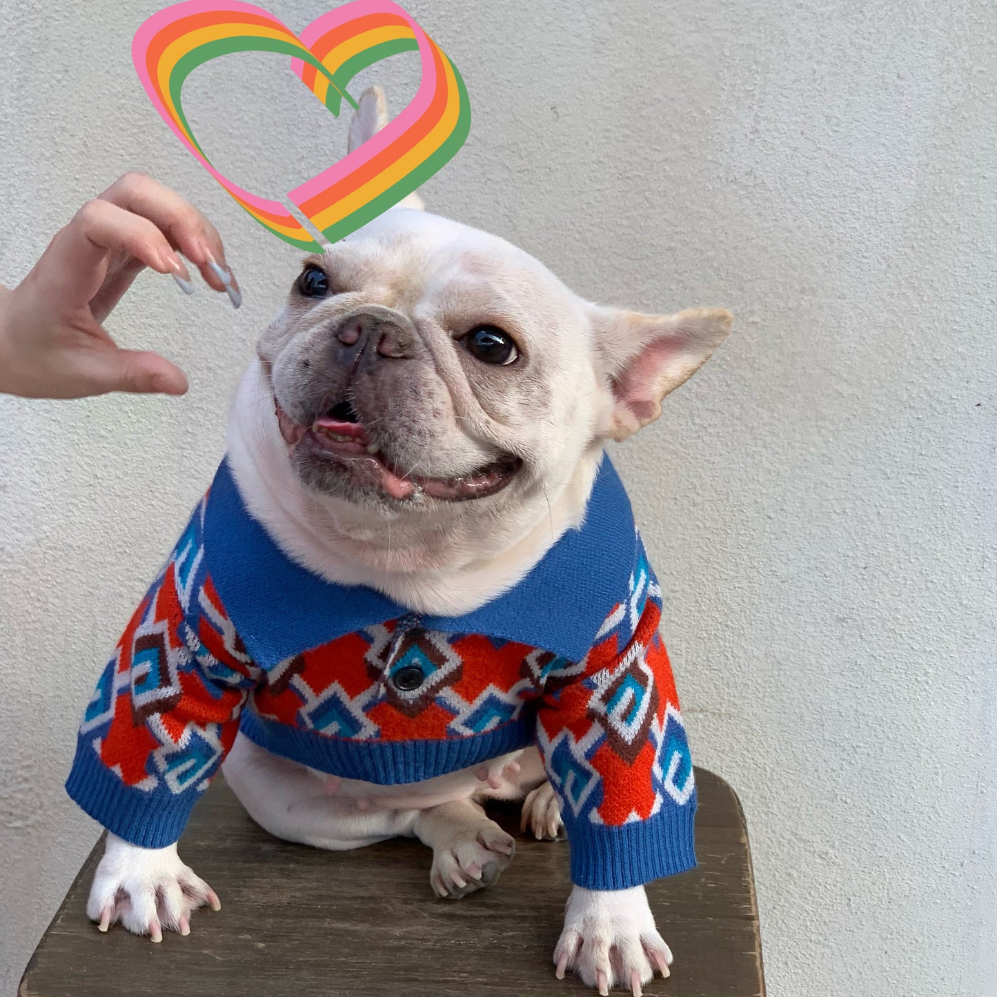 Pet Fashion Brand Clothes Dog Cat Fight