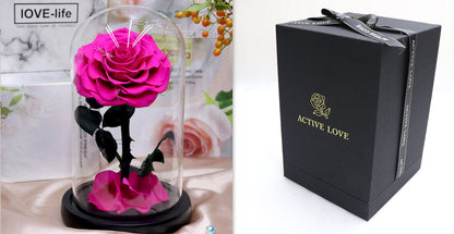 Glass Cover Tanabata Valentine's Day Immortal Rose Gift