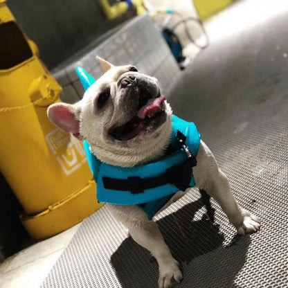 Dog Life Jacket Law Fighting Swimsuit Pet Supplies