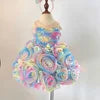 High Quality Beaded Rose Petal Tulle Floor-Length Mermaid Tail Lace Princess Dress for Baby Girls OEM ODM Fast Delivery Vietnam