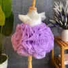 High Quality Rose Chiffon Princess Dress for Baby Girls by Nhung Nguyen OEM ODM Custom Made in Vietnam Kids Party Wear 1