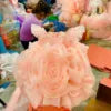 High Quality Rose Chiffon Princess Dress for Baby Girls by Nhung Nguyen OEM ODM Custom Made in Vietnam Kids Party Wear 1