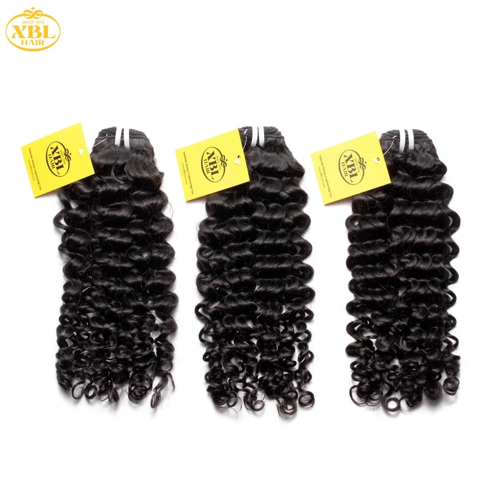 US Local Stock Unprocessed Vietnamese Raw Hair Bundle Vendors Bulk Double Drawn Weft Hot Sale Jerry Curly Human Hair Extensions