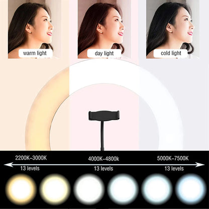 10 inch LED Selfie Ring Light Dimmable Photography Fill Lamp with Mini tripod for Phone Tiktok Live Video Photo Studio Ringlight
