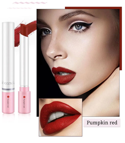 4-Lasting Stick Waterproof Lip Set - Long-Lasting Matte Lipstick with Transparent Finish - Perfect Valentine's Day Gift for Her