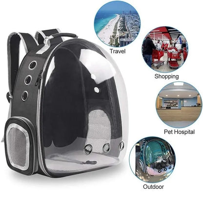 Portable Breathable Oxford Polyester Zipper Transparent Outside Cat Bag Pet Backpack Carrier for Cats