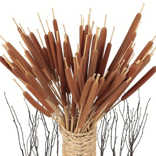 20pcs Realistic Dried Cattail Stems - Natural Brown, Long 17" Bundles for Wedding, Home, Office, Garden Decor - Rustic Floral
