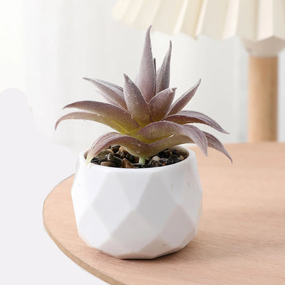 Succulents Plants Bonsai Cactus Potted Plants Garden Greenery Faux Succulents for Home Decor