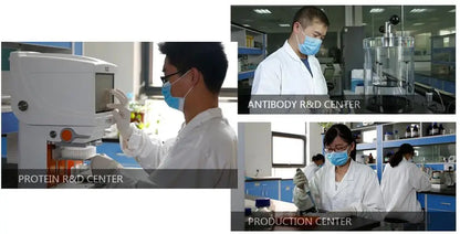 Bovine Rotavirus IgA(RV-IgA)ELISA Kit