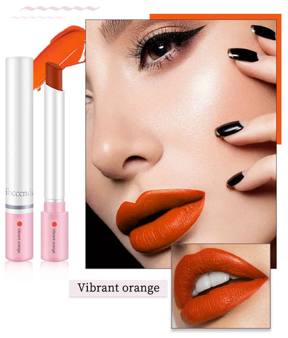 4-Lasting Stick Waterproof Lip Set - Long-Lasting Matte Lipstick with Transparent Finish - Perfect Valentine's Day Gift for Her