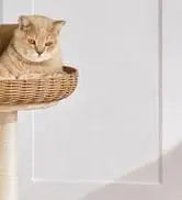 Hot Sale 23.5 Inches Cat Tree Tower Dark Gray Condo Sisal-Covered Scratching Posts Furniture for Pet Activity Cat House