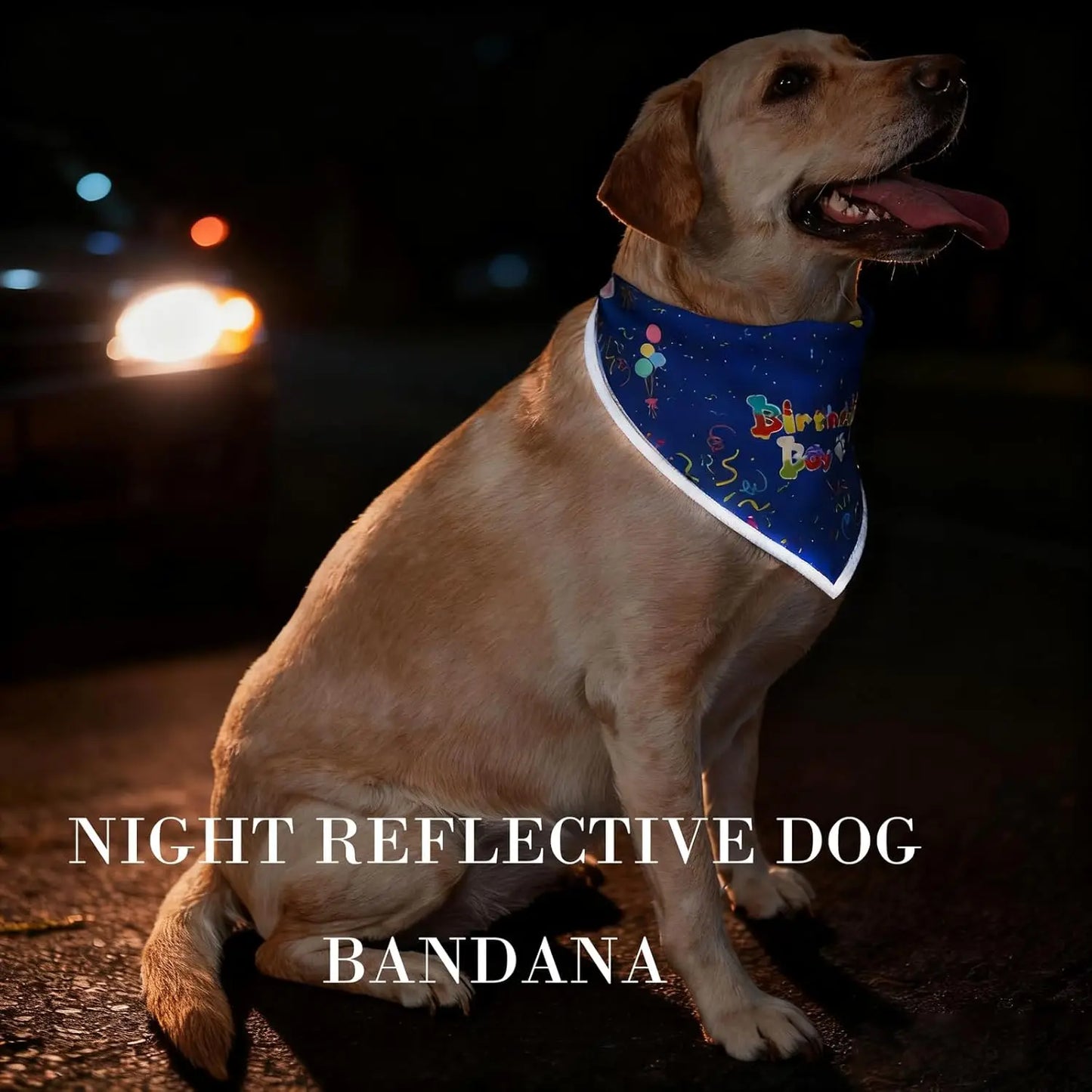 Blue Reflective Birthday Dog Bandanas for Boys Pet Party Decorations Large Dogs