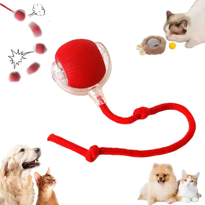 New Design 360° Smart Automatic Interactive Dog Smart Ball Toy Interactive Cat Toys Rolling Ball with USB Charger