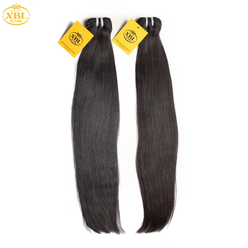 Raw Indian Hair Extensions for Professional Hair Stylists USA  LA Local Pick up 100% Virgin Human Hair