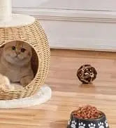Hot Sale 23.5 Inches Cat Tree Tower Dark Gray Condo Sisal-Covered Scratching Posts Furniture for Pet Activity Cat House