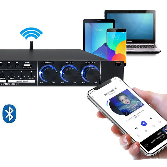 Professionelles DSP-600 Audio-Soundgerät mit Anti-Pfeifgeräusch-Hallfunktion, USB- und Bluetooth-Frontend sowie digitalen Hall-Effekten – Verkaufsschlager