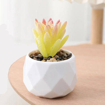 Succulents Plants Bonsai Cactus Potted Plants Garden Greenery Faux Succulents for Home Decor
