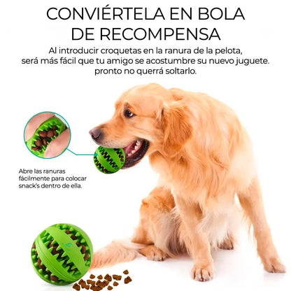 Elegate Mas.05.2 Manual Pet Feeder Ball Rounded Dogs Cats Plastic Interactive Food Dispensing Toy Indoor Use Solid Blue Co