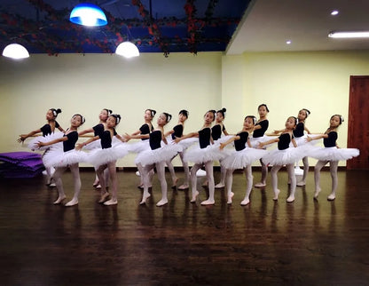 Professional Ballet Tutus Skirs For Adult Child Stiff Mesh Pancake Belly Dance Girls Practice Kids White Swan Lake