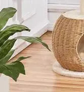 Hot Sale 23.5 Inches Cat Tree Tower Dark Gray Condo Sisal-Covered Scratching Posts Furniture for Pet Activity Cat House