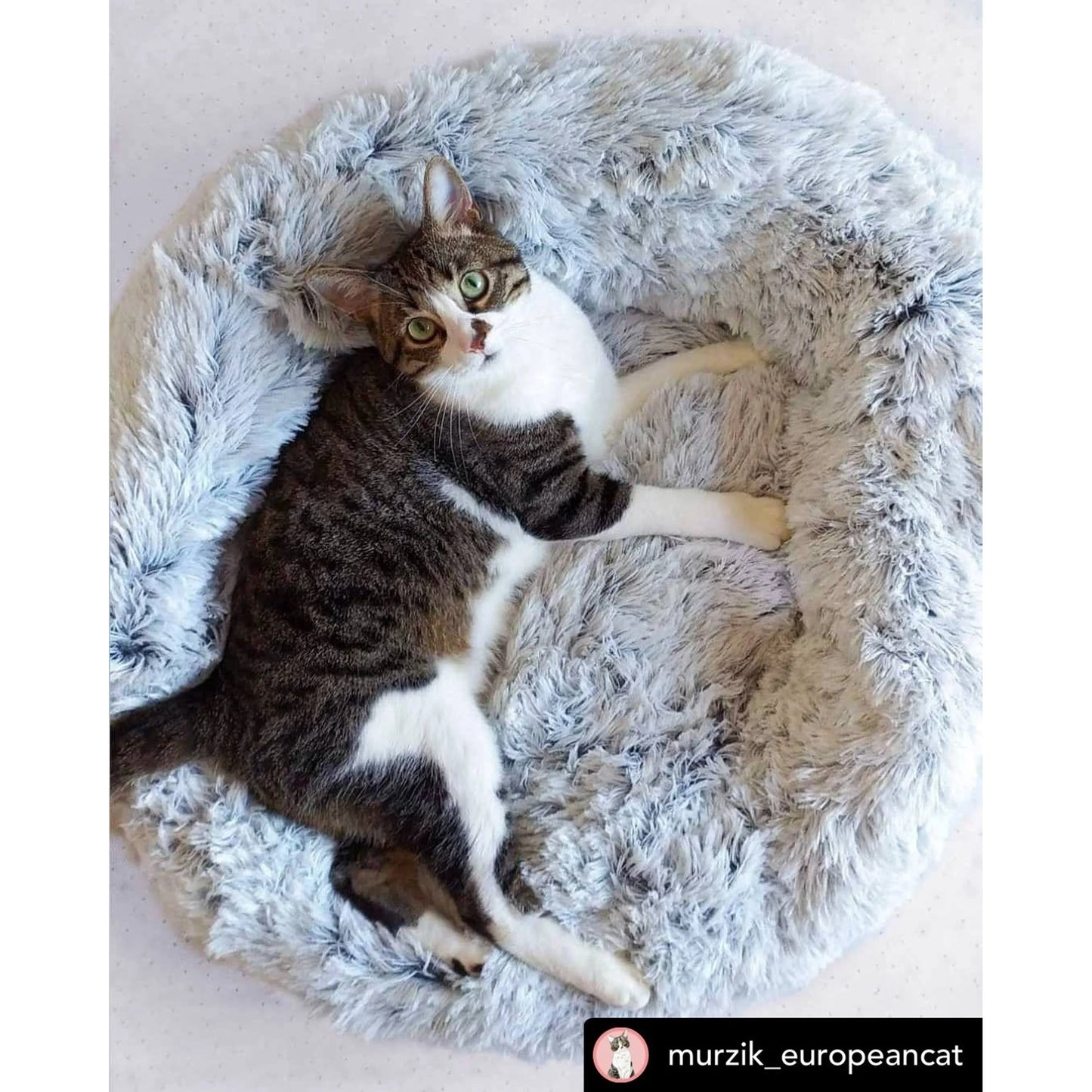 TD Mr. Peanut's OrthoPlush Small XL Pet Bed Comfortable Corduroy Silk Bamboo for Dogs Cats Removable for Summer Winter Use