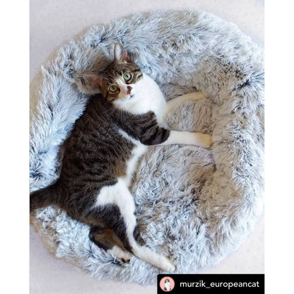 TD Mr. Peanut's OrthoPlush Small XL Pet Bed Comfortable Corduroy Silk Bamboo for Dogs Cats Removable for Summer Winter Use