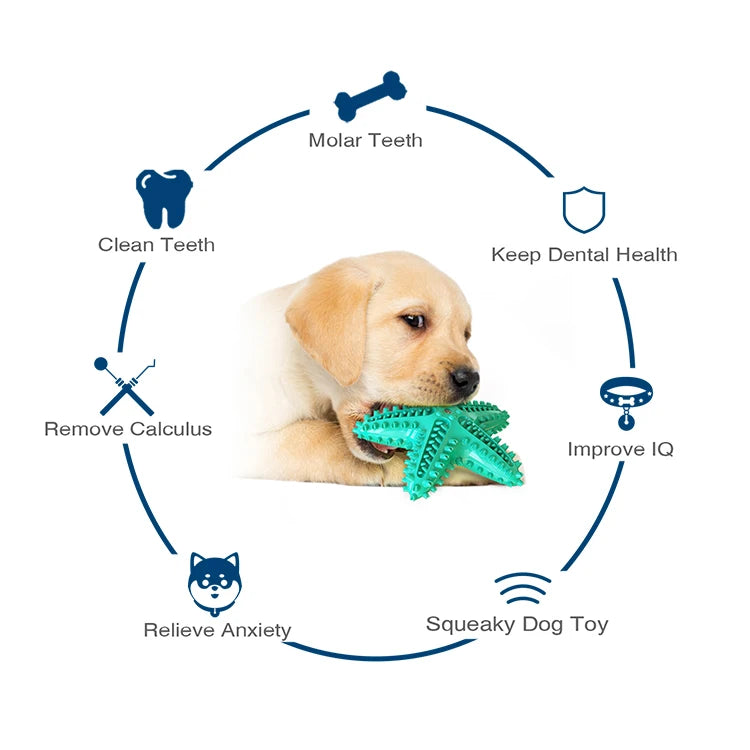 New Style Pet Dog Toothbrush Chew Toy Doggy Brush Stick Cleaning Dot Massage Toothpaste for Small Dogs Pets Toothbrushes