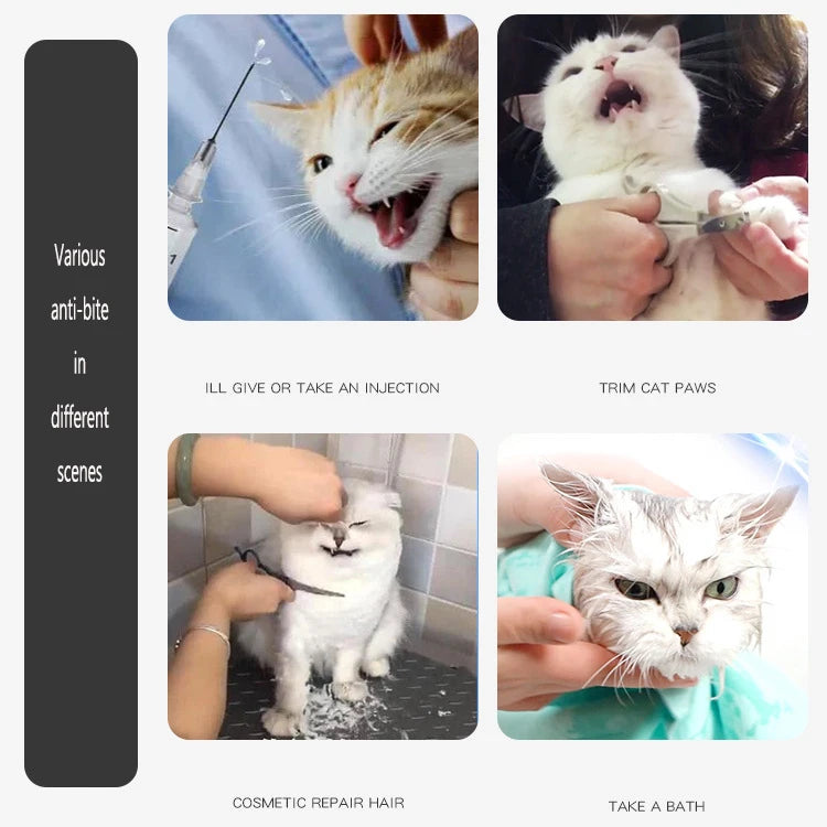 ALANTIA Wholesale New Reflective Breathable Injection Anti-bite Cat Space Hood Elizabeth Circle Pet Elizabeth Collar