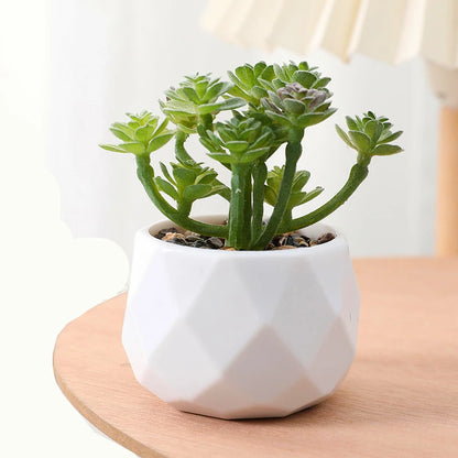 Succulents Plants Bonsai Cactus Potted Plants Garden Greenery Faux Succulents for Home Decor