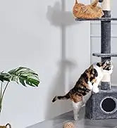 Hot Sale 23.5 Inches Cat Tree Tower Dark Gray Condo Sisal-Covered Scratching Posts Furniture for Pet Activity Cat House