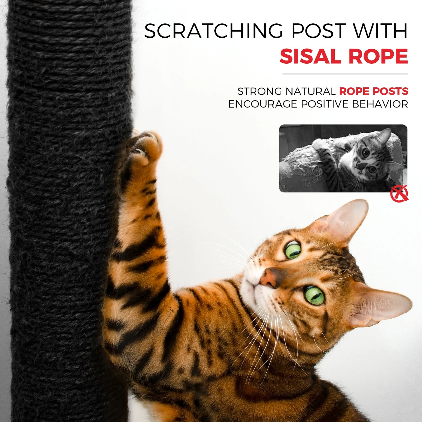 [Low stock] Large Black Eco-Friendly Durable 5-Level Cat Tree Condo Hammock Scratching Post Free Shipping for Indoor Use Kittens Adult Cats