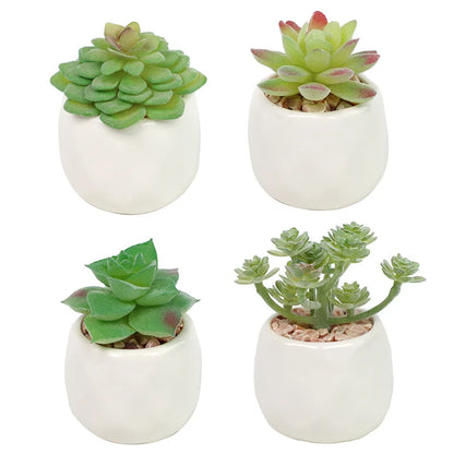 Succulents Plants Bonsai Cactus Potted Plants Garden Greenery Faux Succulents for Home Decor