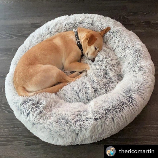 TD Mr. Peanut's OrthoPlush Small XL Pet Bed Comfortable Corduroy Silk Bamboo for Dogs Cats Removable for Summer Winter Use