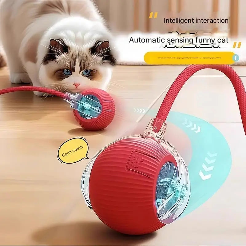 New Design 360° Smart Automatic Interactive Dog Smart Ball Toy Interactive Cat Toys Rolling Ball with USB Charger