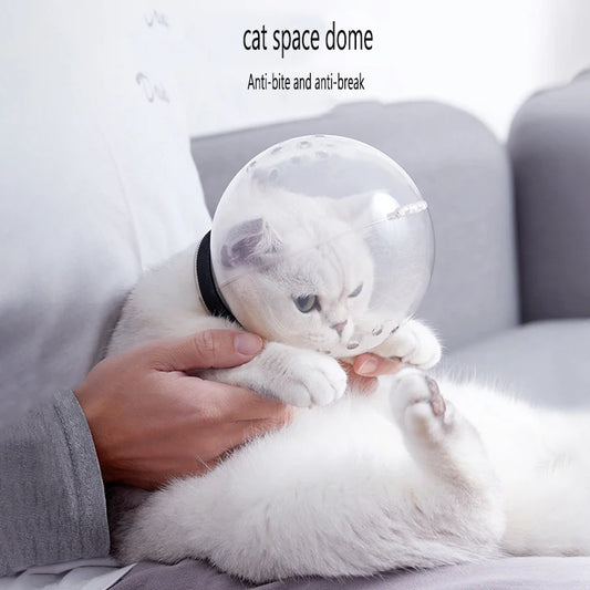 ALANTIA Wholesale New Reflective Breathable Injection Anti-bite Cat Space Hood Elizabeth Circle Pet Elizabeth Collar