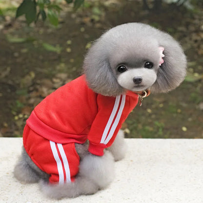 Adidog Dog Clothes Thick Overalls for Dogs, Winter Pet Dog Clothing for Small Dogs Puppy Jumpsuit Tracksuit Costume for Yorkie