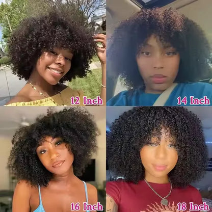 180 Density Kinky Curly Short Bob Human Hair Wig with Bangs Raw Brazilian Virgin Human Hair Afro Kinky Curly Wig for Black Women