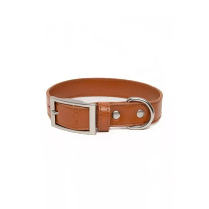 TD Pet Collar Sierra Sunrise Vegan Leather Customizable Western Style for Dogs Cats Modern Classic Print Personalized Lights