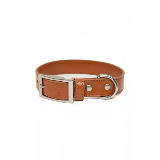 TD Pet Collar Sierra Sunrise Vegan Leather Customizable Western Style for Dogs Cats Modern Classic Print Personalized Lights